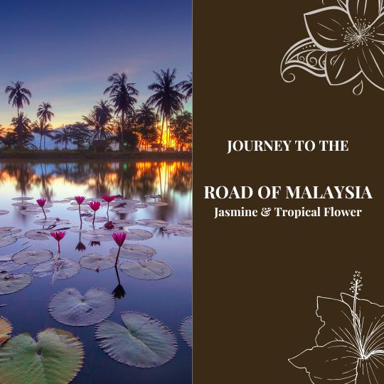 Journey To The Route Of Malaysia - Jasmine And Tropical Flowers