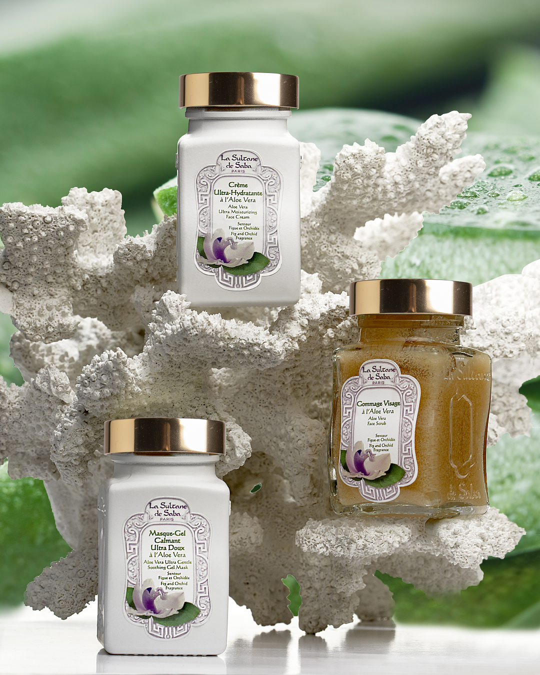 Fig & Orchid / Aloe Vera - Face Collection