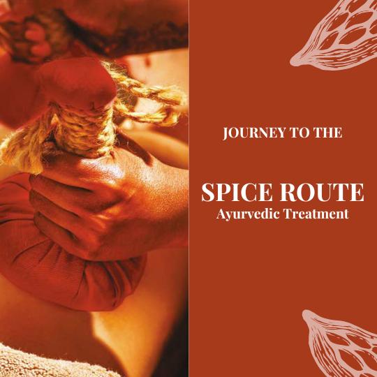 Journey To The Spices Route - Ayurvedic- Amber Vanilla Patchouli