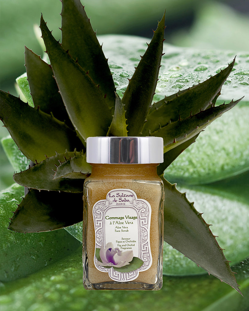 Face Scrub - Aloe Vera